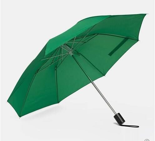 Two-fold Cheap Chinese Manufacturer Wholesale Promotional Custom Logo Print 2 Folding Umbrella Paraguas